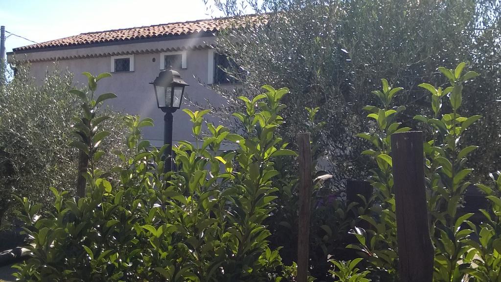 Seacily Etna House Villa Piedimonte Etneo Exterior photo